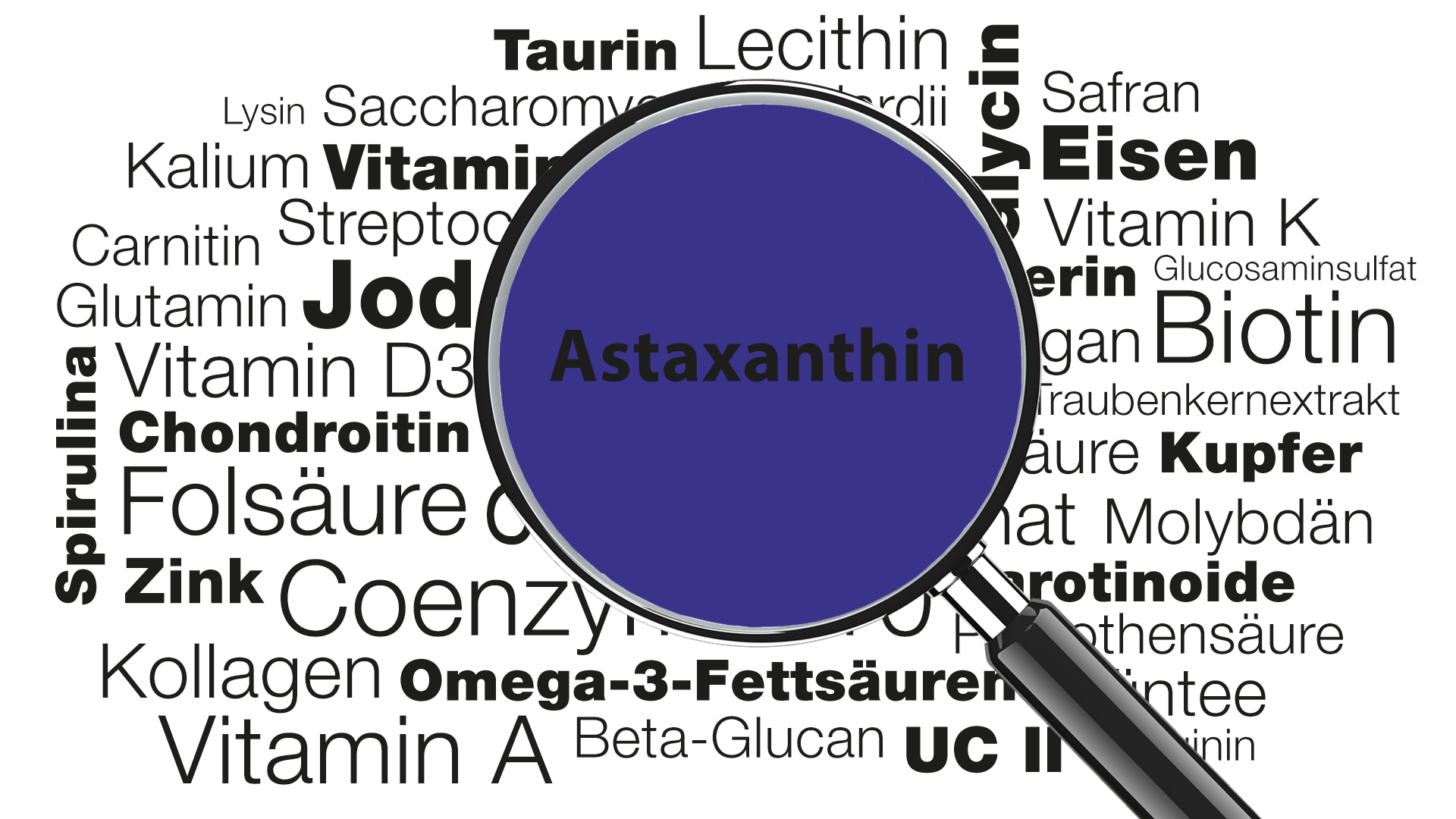 Lupe mit Wort Astaxanthin im Fokus » Wissenswertes zu Funktionen, Anwendungsgebieten, Zufuhrempfehlung | Burgerstein Foundation