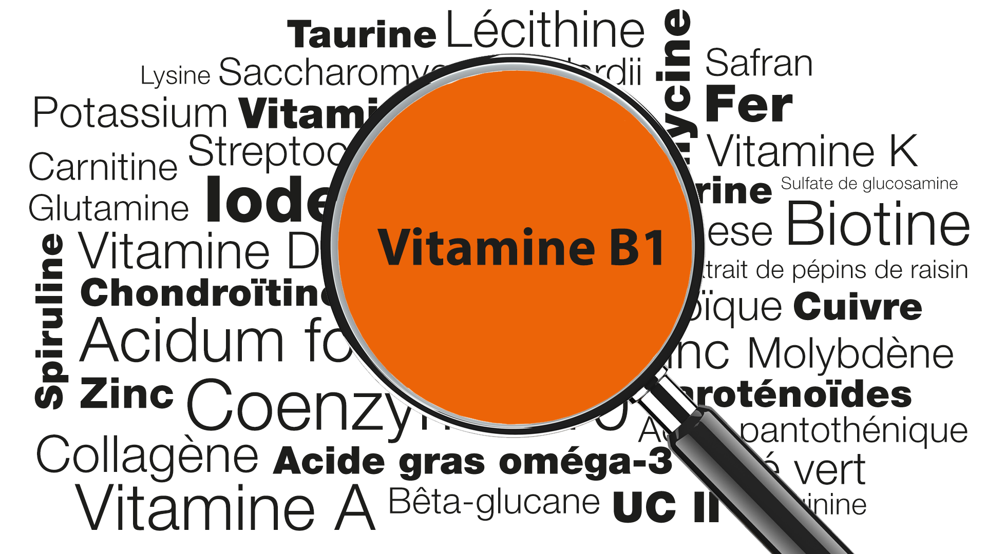 Loupe focalisée sur les mots Vitamine B1